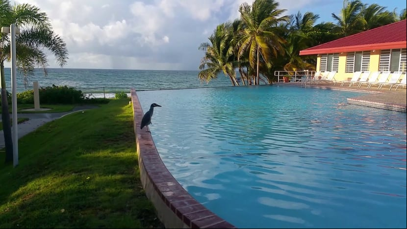 El Parador Mauna Caribe, en Maunabo, ha establecido un protocolo de operación para evitar contagios con Covid-19 en la hospedería. (Suministrada)