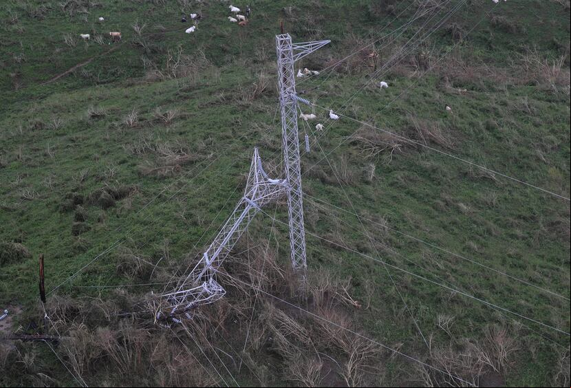 En la zona sureste del país, la Autoridad de Energía Eléctrica sufrió grandes daños, incluida la pérdida de decenas de torres de transmisión, como estas en Las Piedras. (GFR Media)