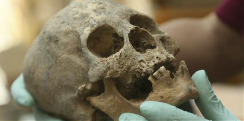 En la tumba, los arqueólogos hallaron restos humanos y más de 150 objetos decorativos de bronce. (AP)
