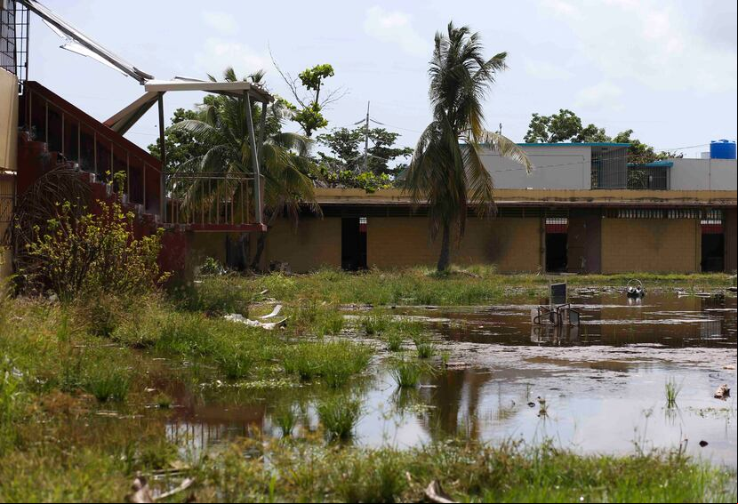 Un enorme patio interior se convirtió en una laguna de agua estancada, llena de lodo y lomo.