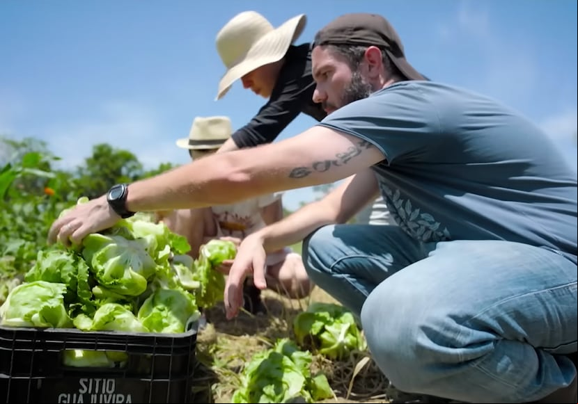 La serie documental "You Are What You Eat: A Twin Experiment" es un interesante experimento que llevaron a cabo con varias parejas de gemelos.