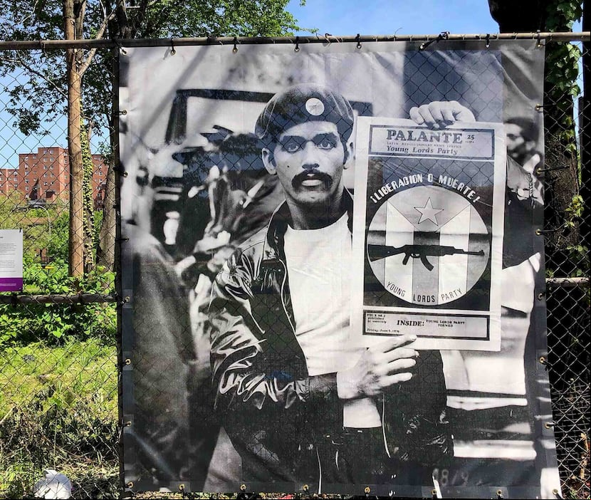 Los Young Lords se establecieron en Chicago en 1968 y en 1969, el capítulo de Nueva York se formó en El Barrio. (Suministrada)