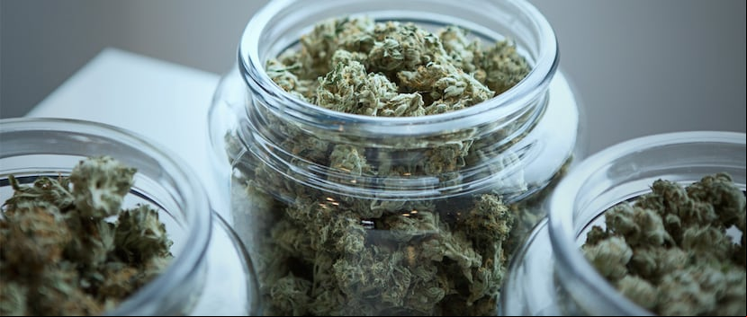 De acuerdo con algunos estudiosos, el cannabis medicinal debe considerarse como una alternativa de tratamiento dado que tiene mucho potencial. (Get Budding / Unsplash)