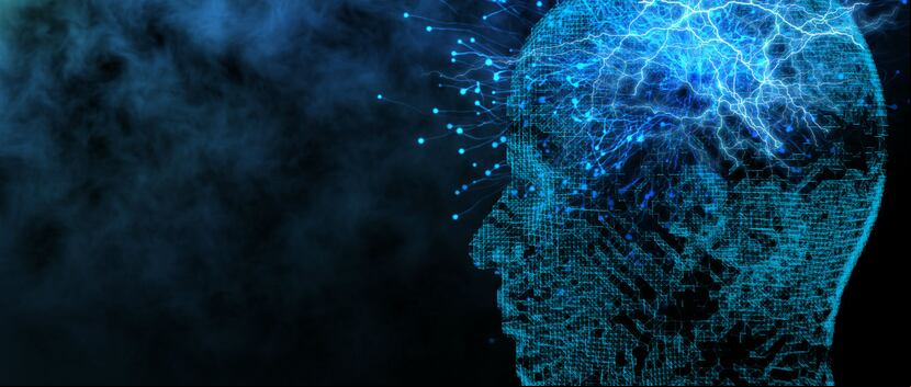 Las neuronas son las principales células del sistema nervioso. (Shutterstock)
