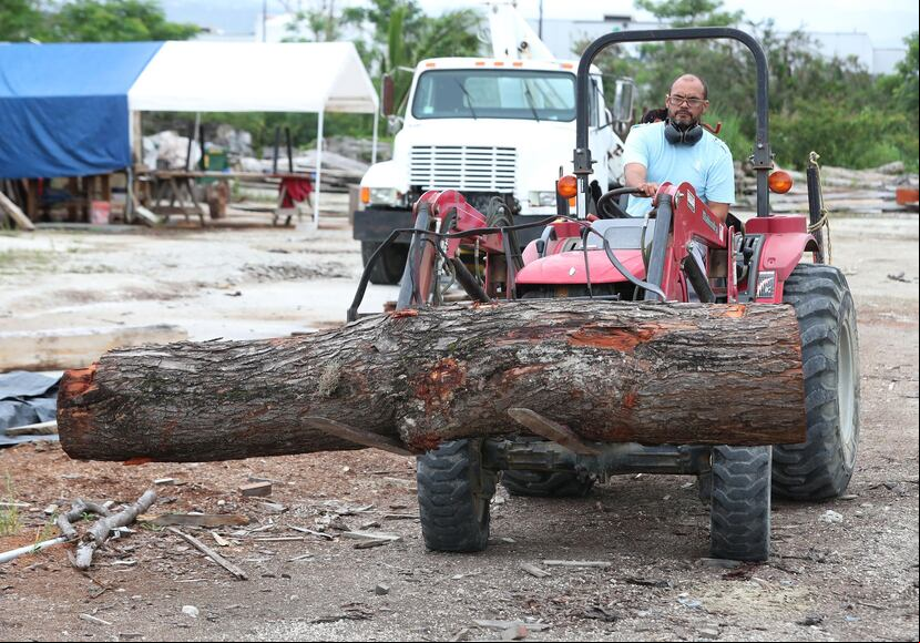 El empresario Andrés Rúa encontró un nicho de alto valor en Puerto Rico al exportar madera a Estados Unidos, Israel, España, Inglaterra, México Canadá y Australia.