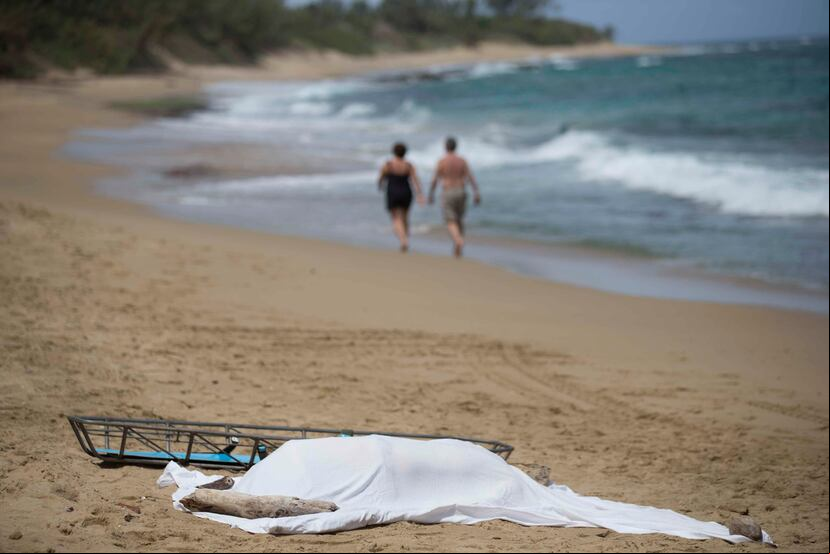 La tragedia ocurrió en una playa de Miami Beach. (Archivo GFR Media)